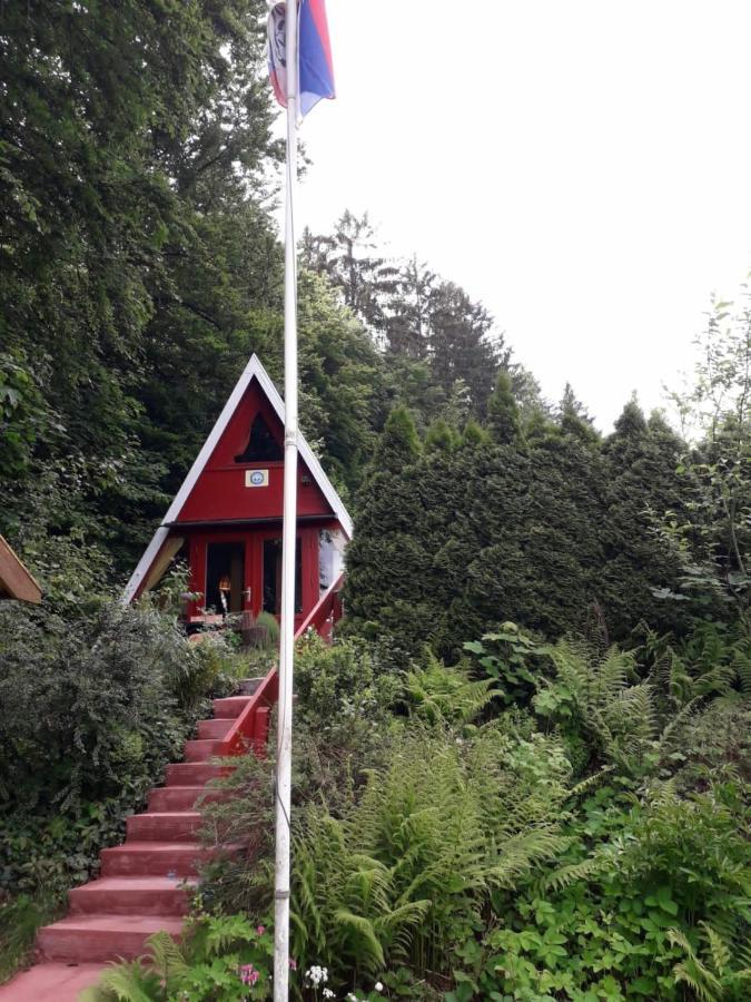 Ferienhaus Sommerland Auszeithuette Freyung Eksteriør billede