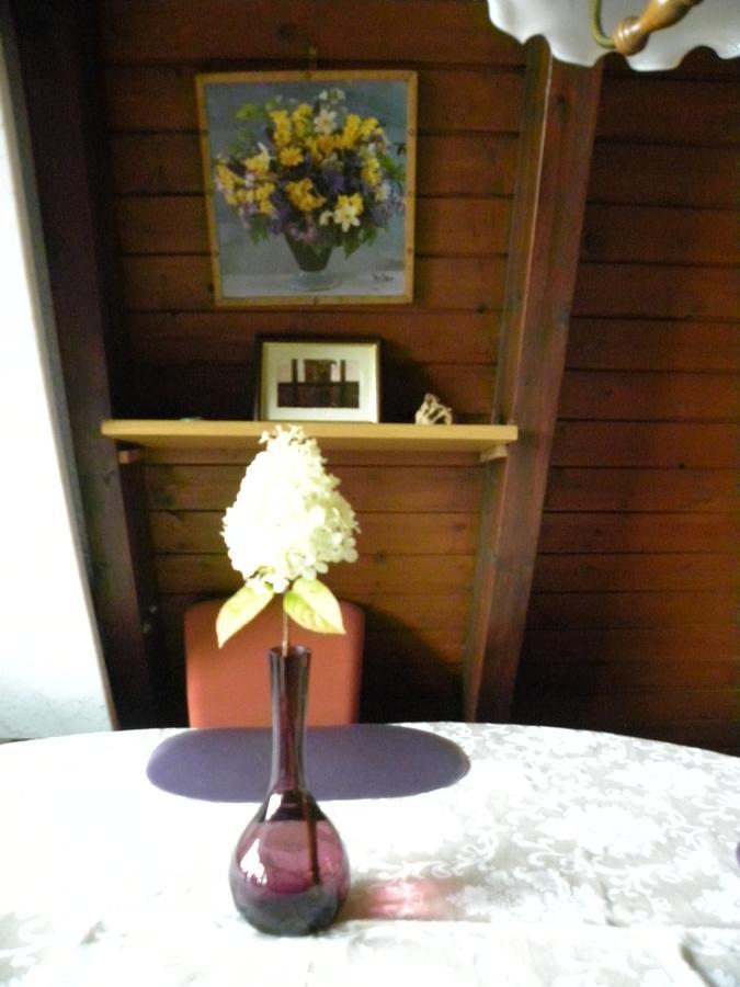 Ferienhaus Sommerland Auszeithuette Freyung Eksteriør billede